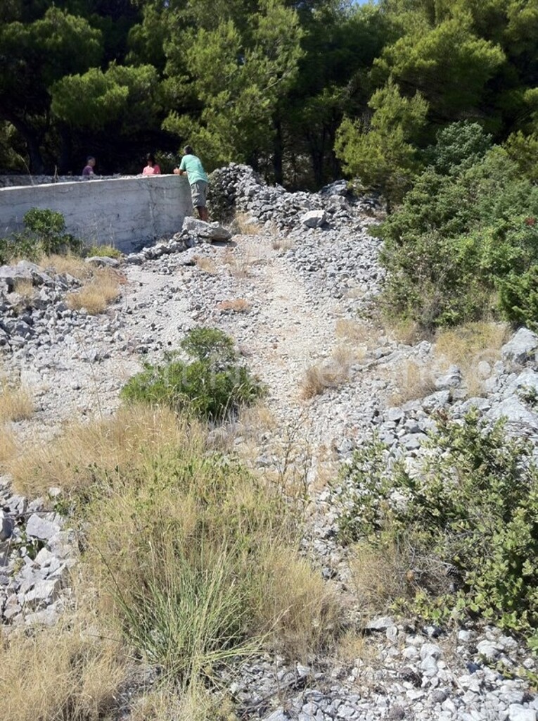 Image 3667476 - 2