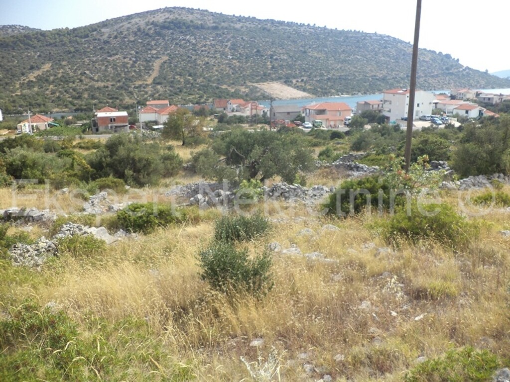 Image 3667487 - 6