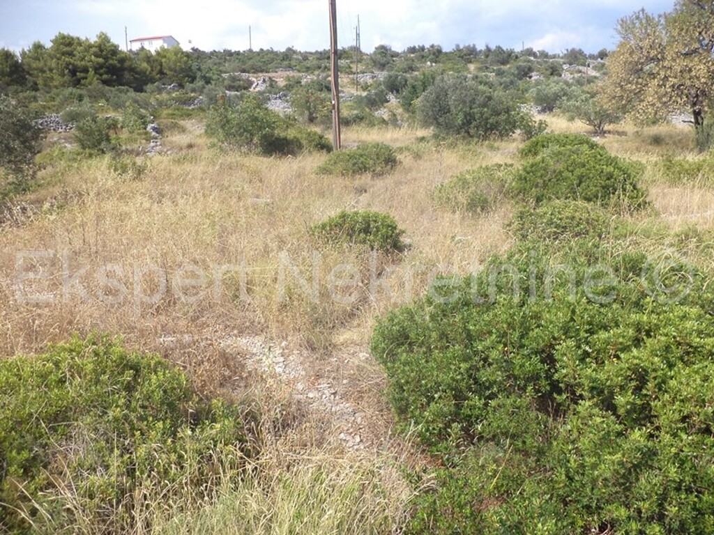 Image 3667487 - 2