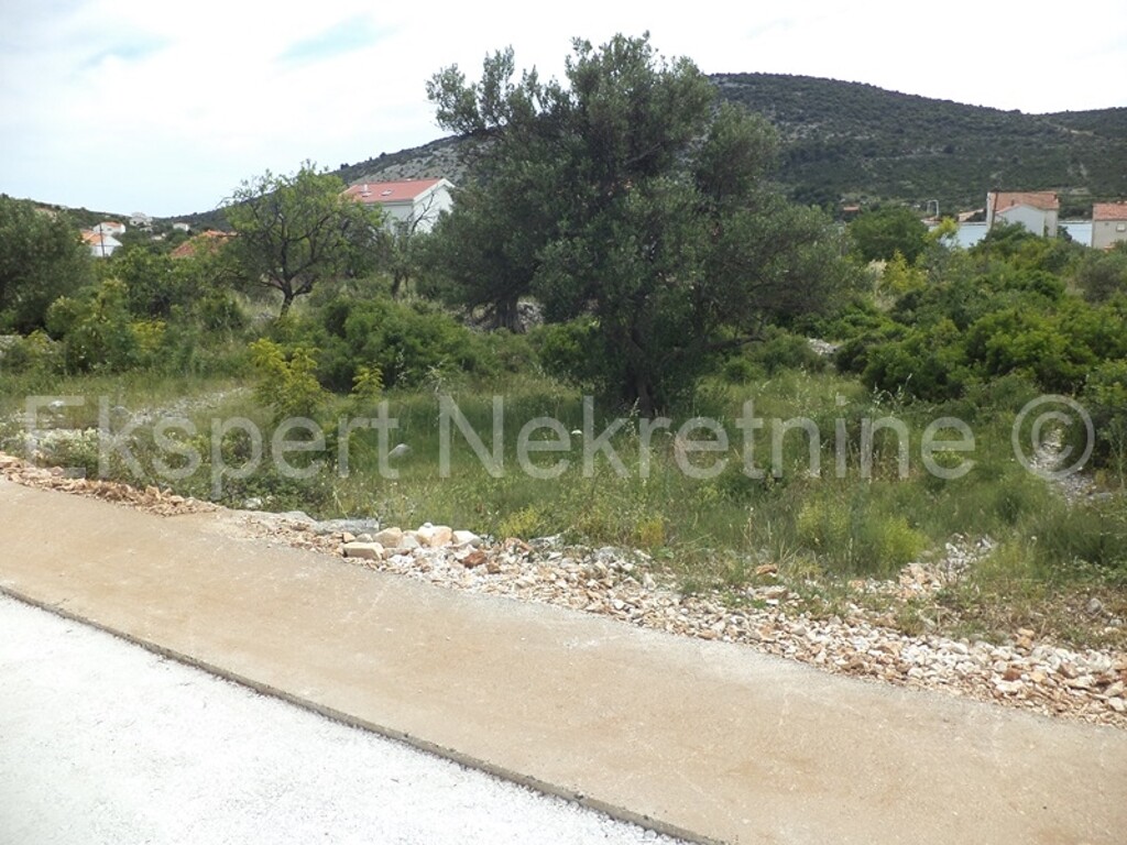 Image 3667501 - 5