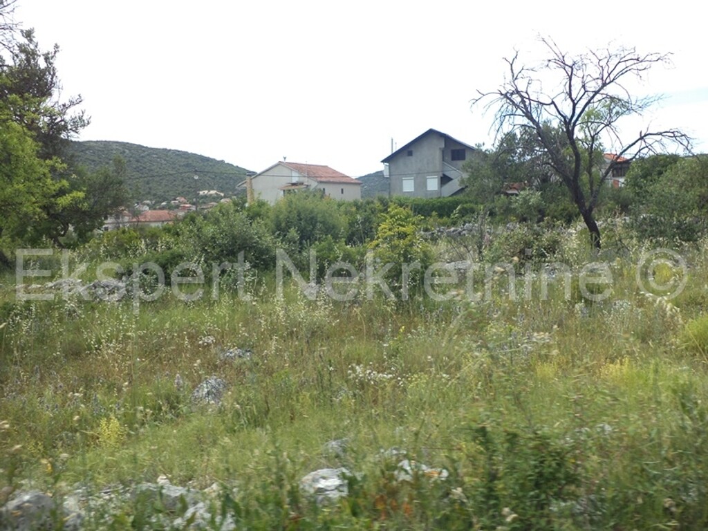 Image 3667501 - 8