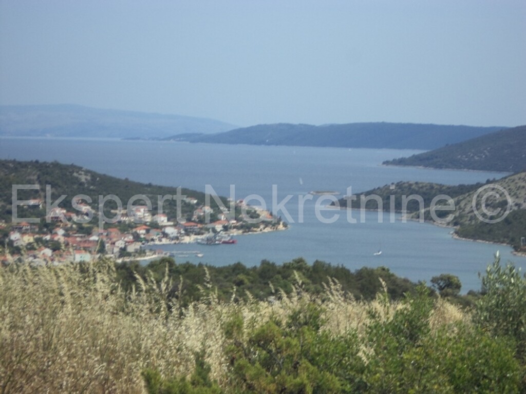Image 3667501 - 10