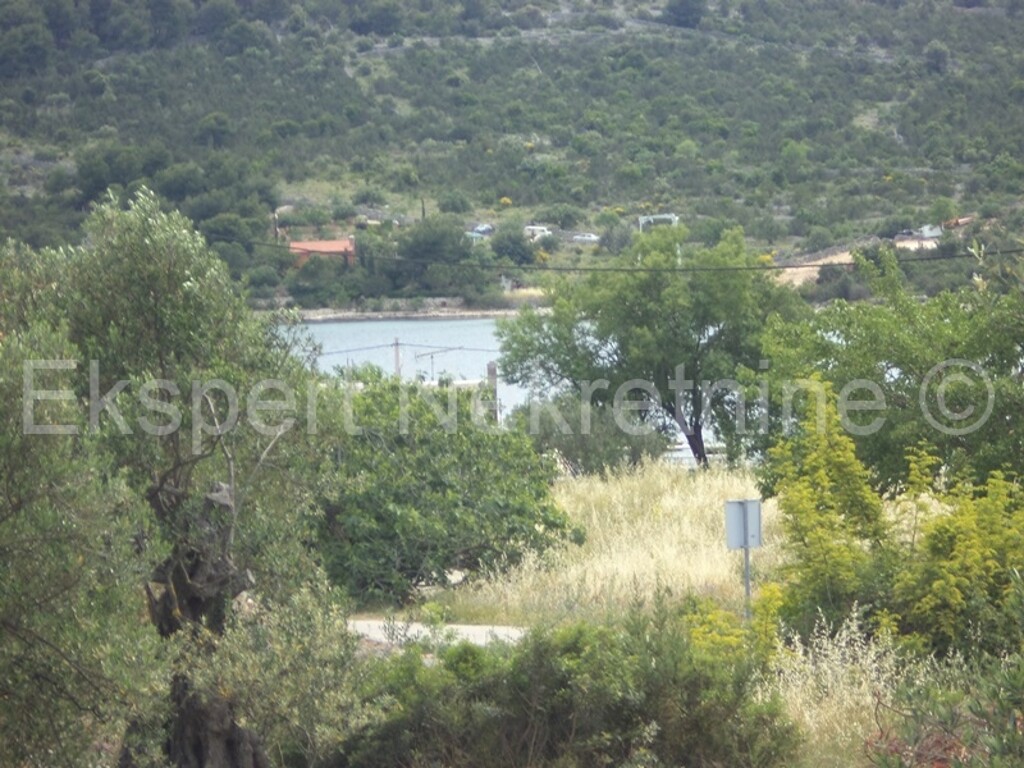 Image 3667501 - 6