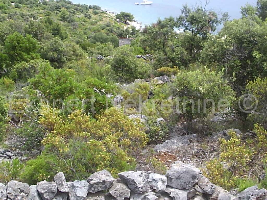 Image 3667519 - 10