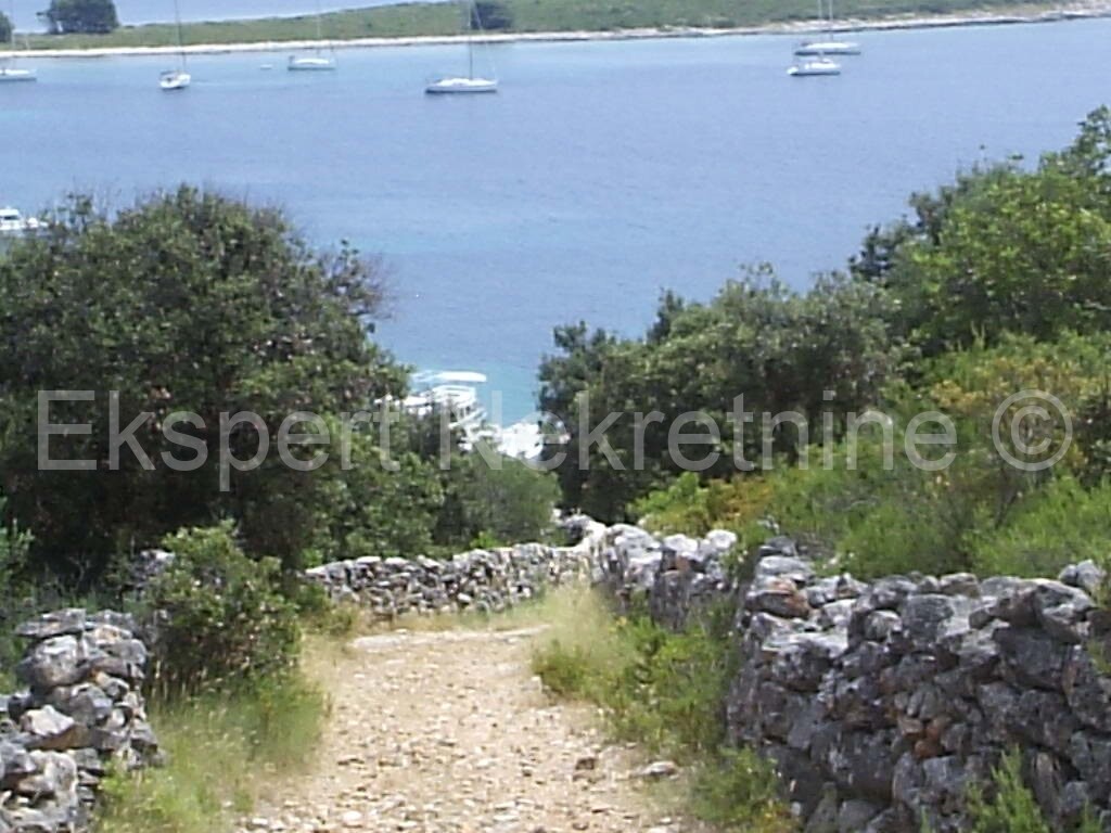 Image 3667519 - 4