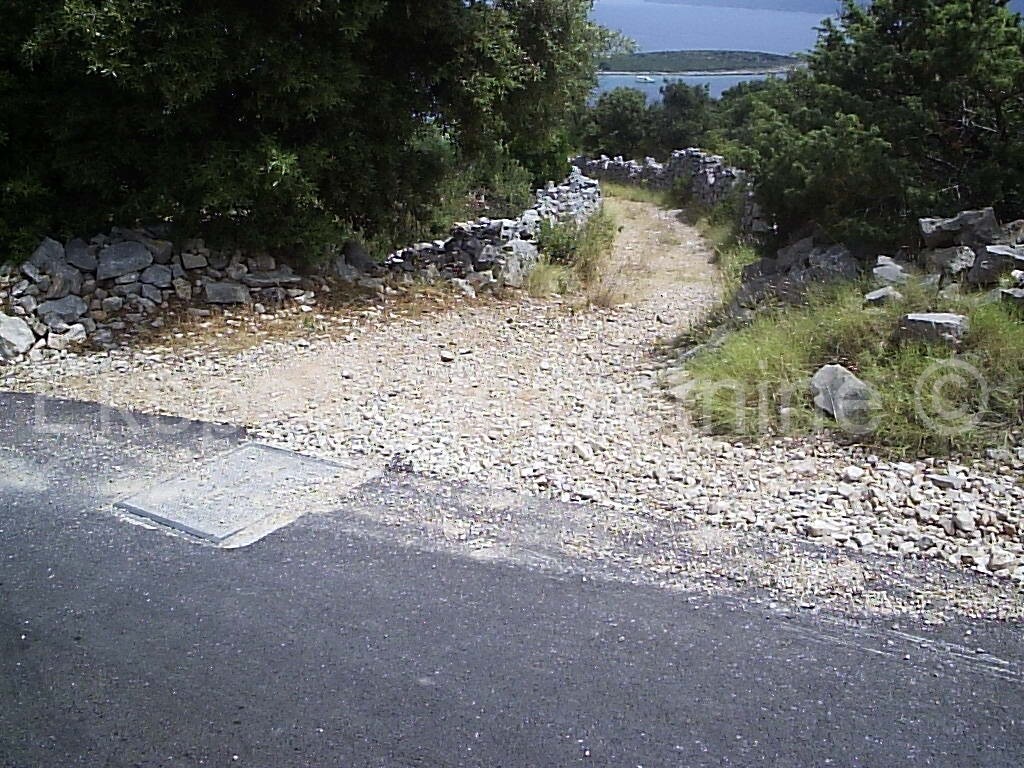 Image 3667519 - 7