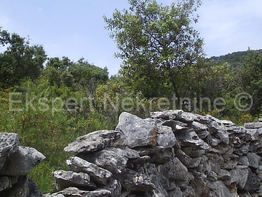 Image 3667519 - 8