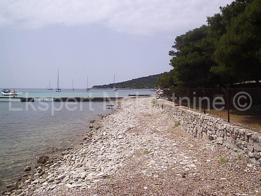 Image 3667519 - 9