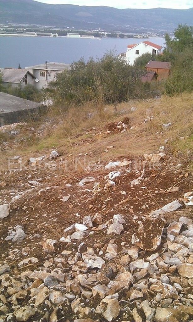 Image 3667533 - 7