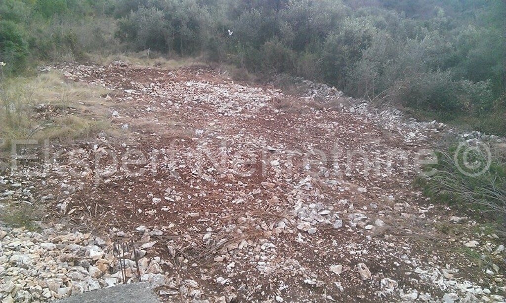 Image 3667533 - 8