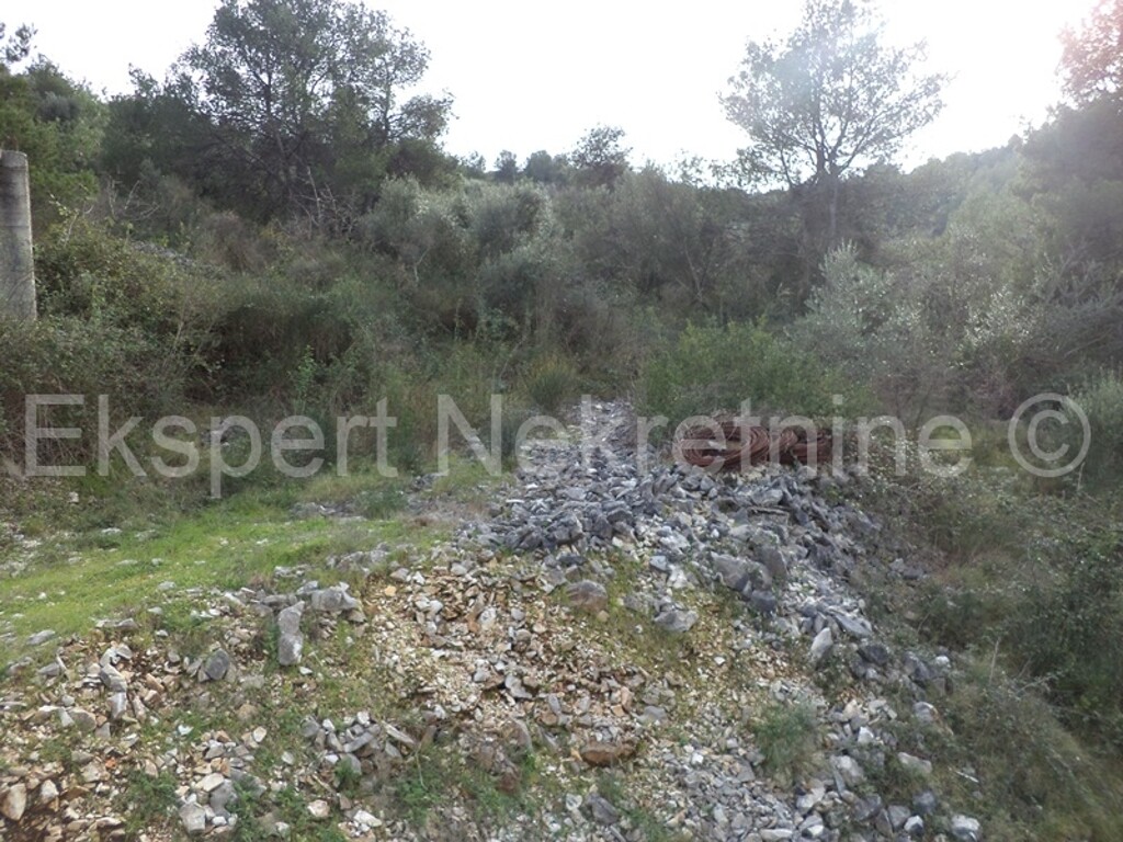 Image 3667533 - 2
