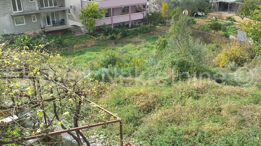 Image 3667569 - 6
