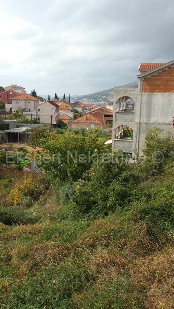 Image 3667569 - 4