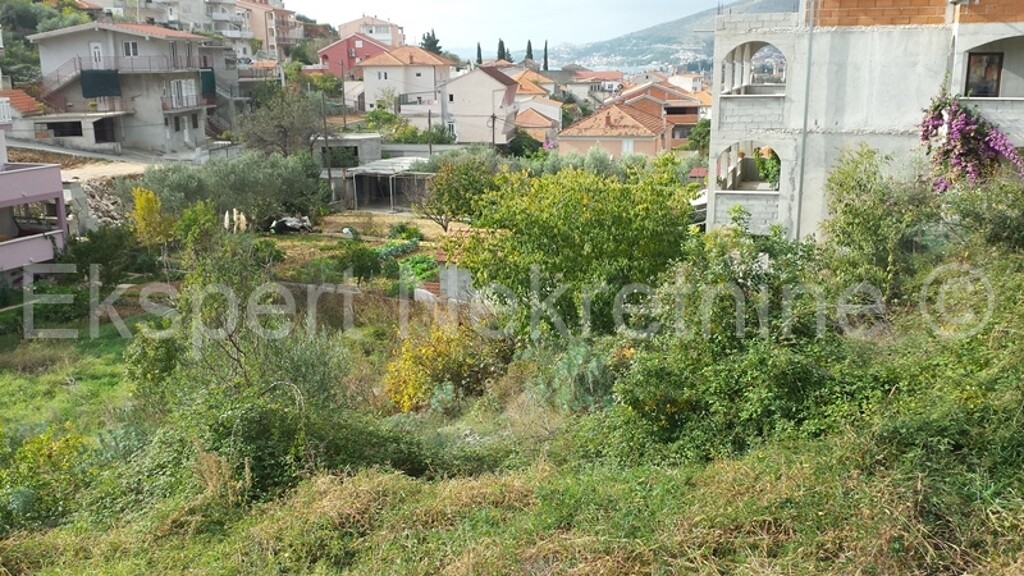 Image 3667569 - 1