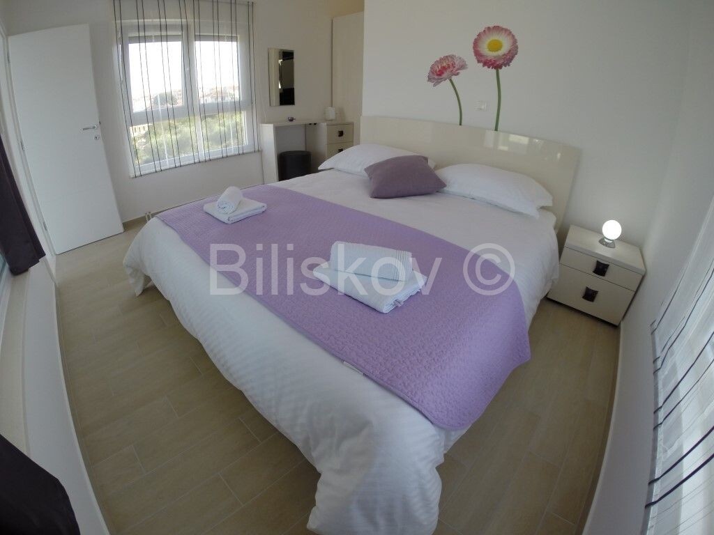 Image 3691936 - 7