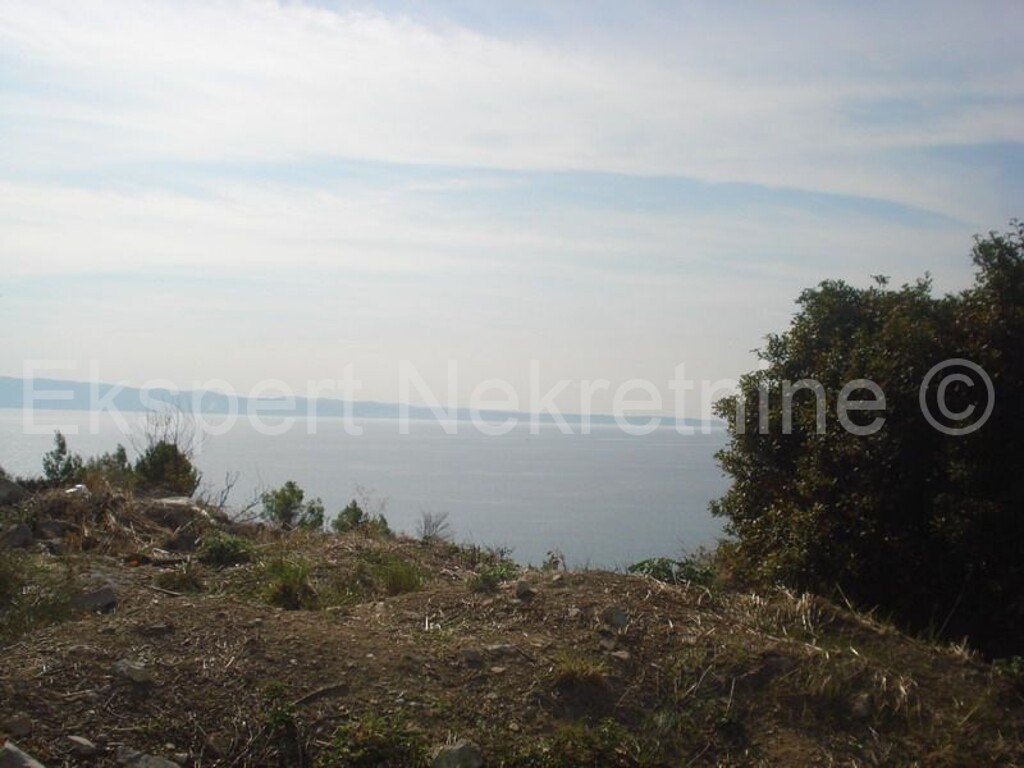 Image 3702768 - 3