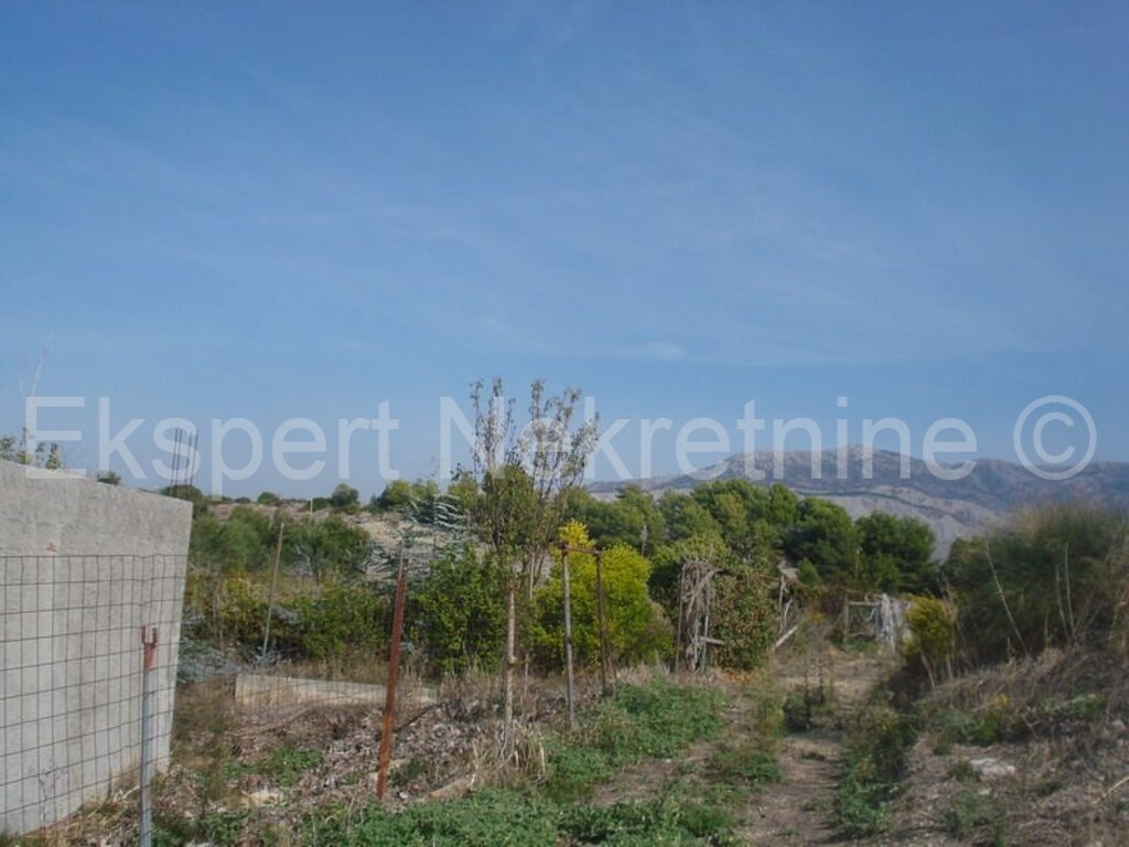 Image 3702768 - 5