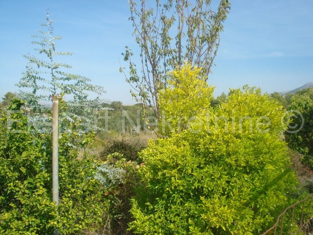Image 3702768 - 2
