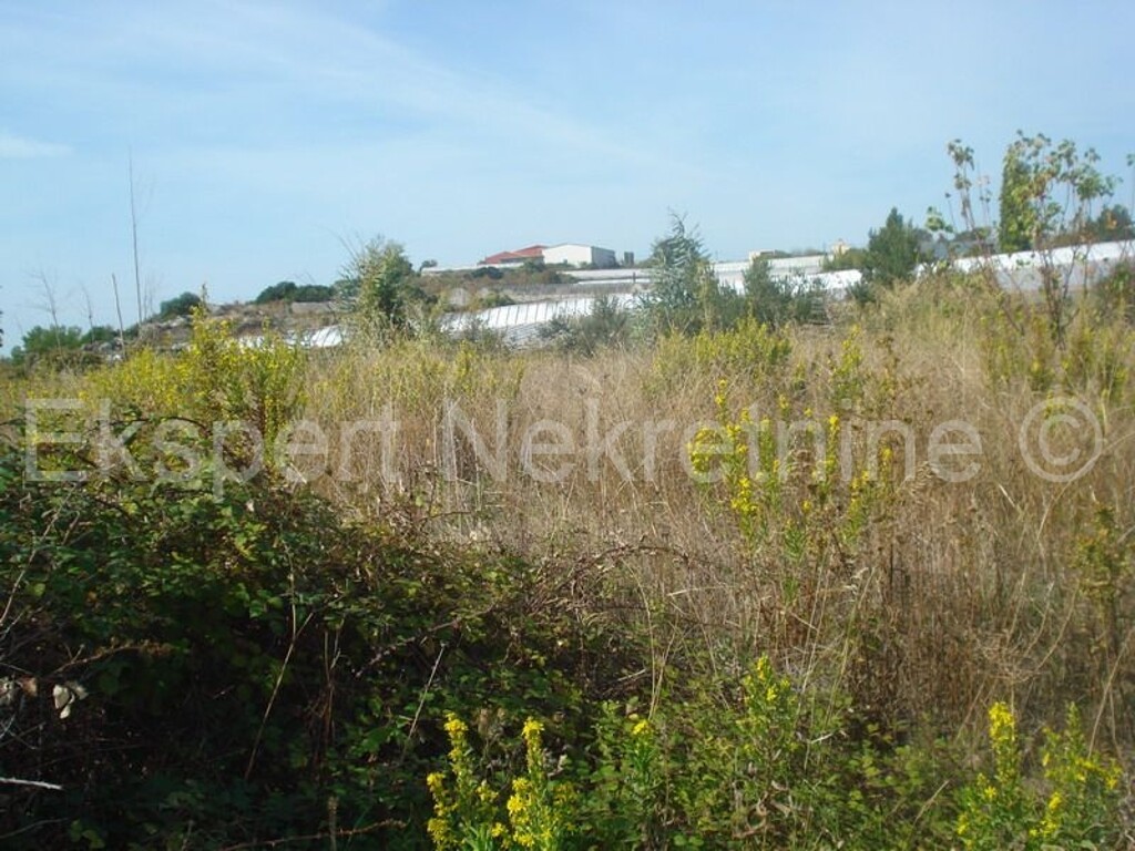 Image 3702768 - 6