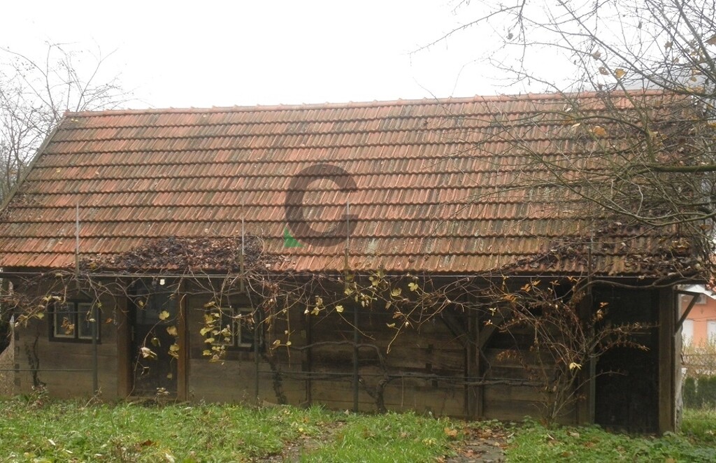 Image 3749052 - 6