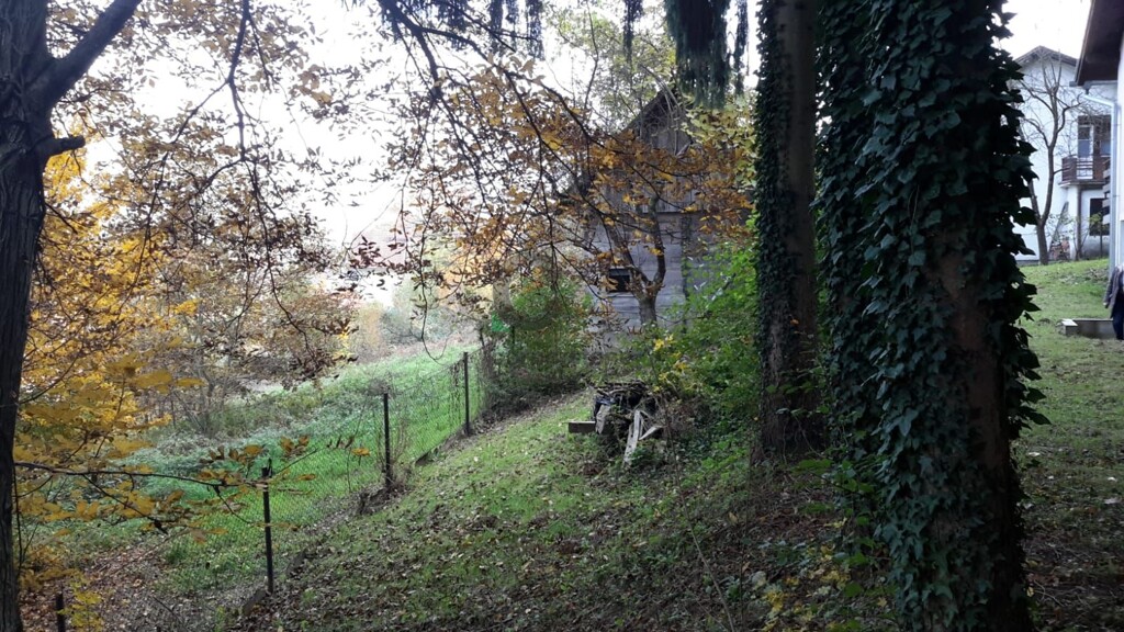 Image 3749052 - 5