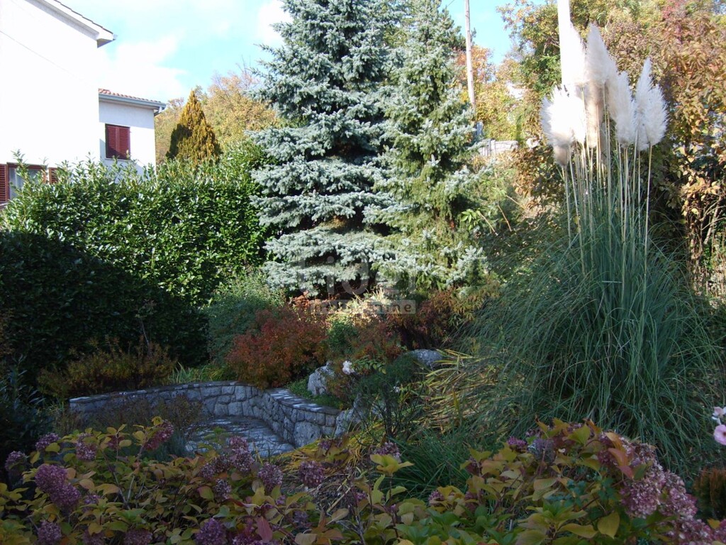 Image 3761023 - 6