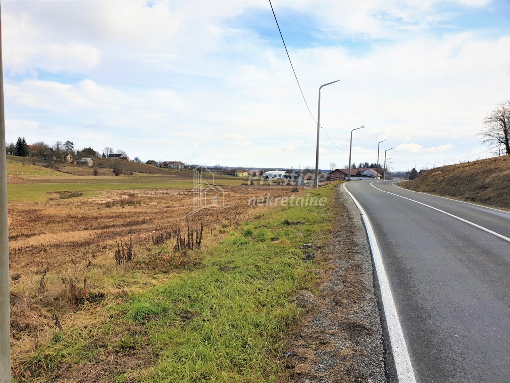 Image 3771776 - 8