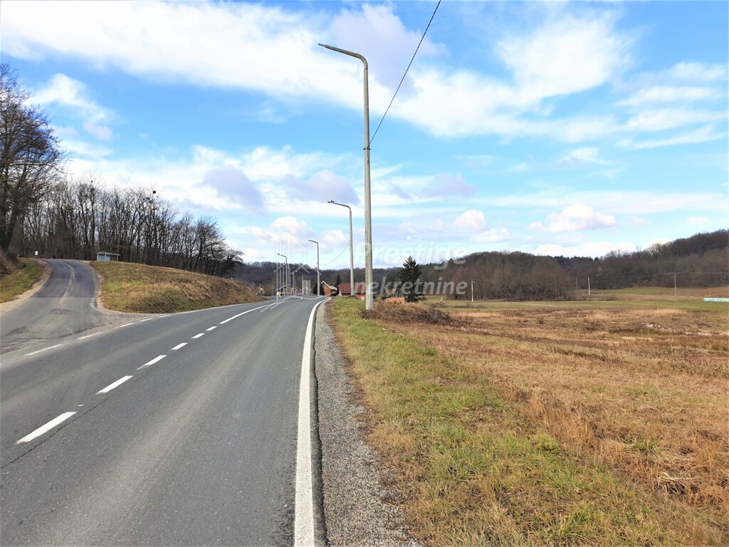 Image 3771776 - 11