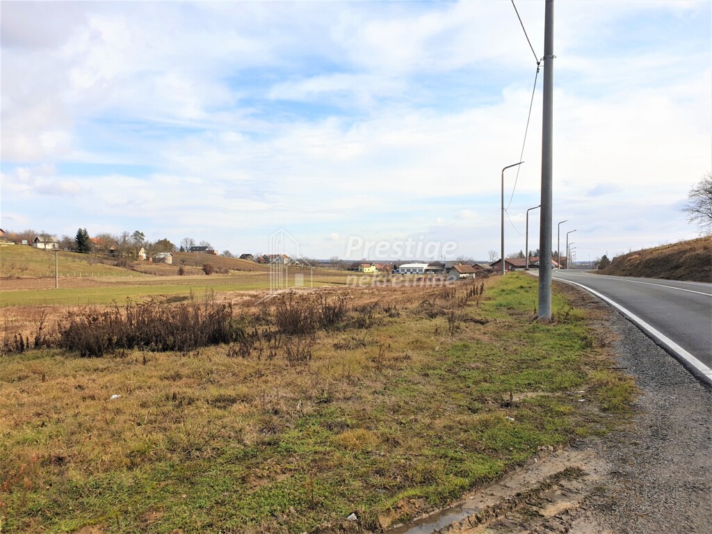 Image 3771776 - 16