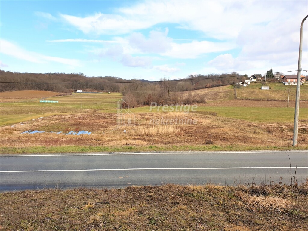 Image 3771777 - 14