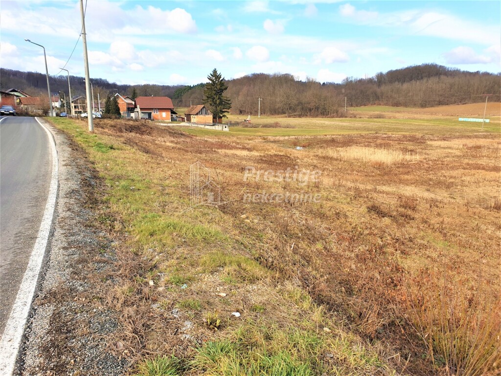 Image 3771777 - 15