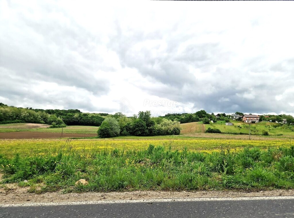 Image 3771777 - 7
