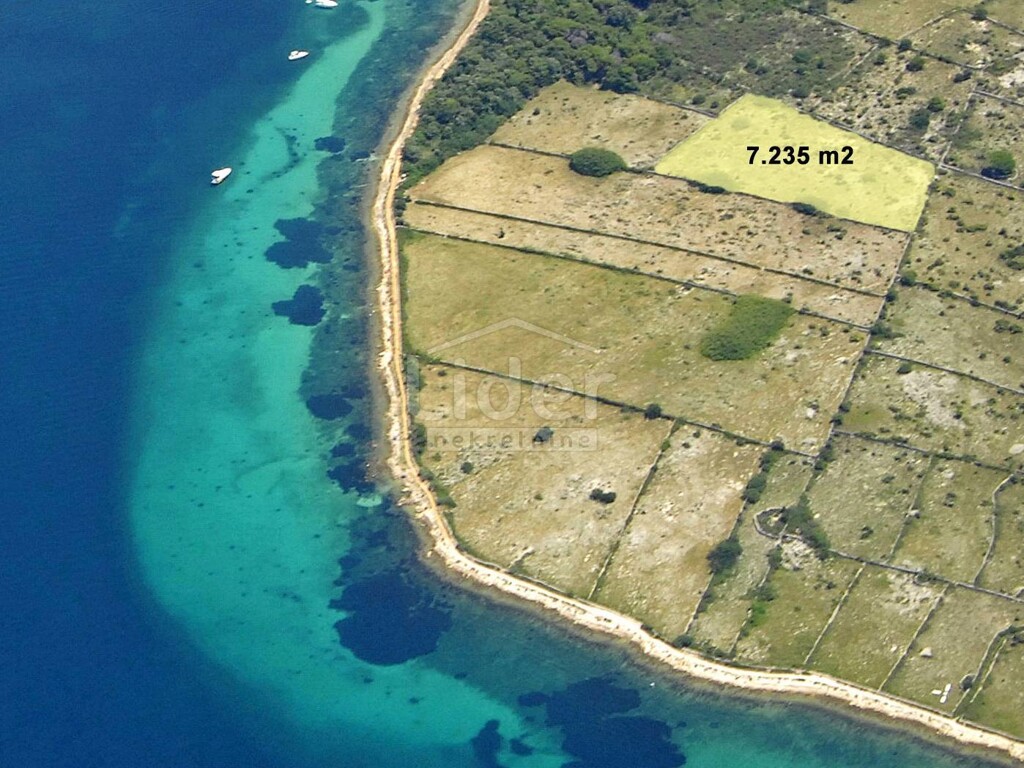 Image 3774861 - 1