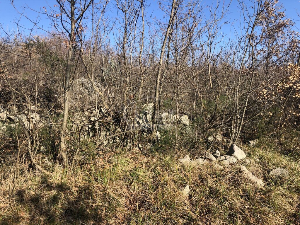Image 3774863 - 7