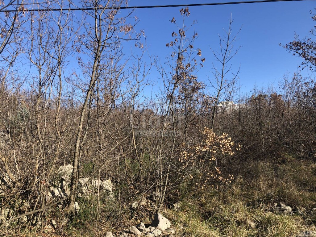 Image 3774863 - 8