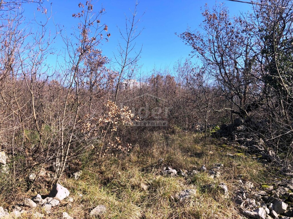Image 3774863 - 9