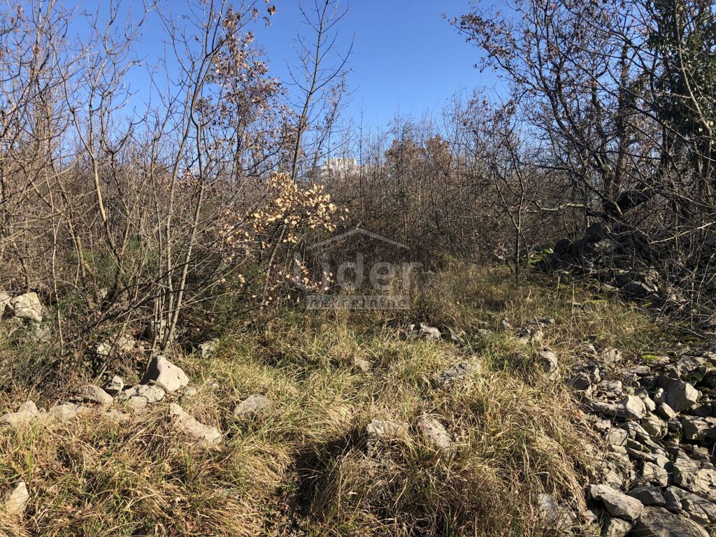 Image 3774863 - 6