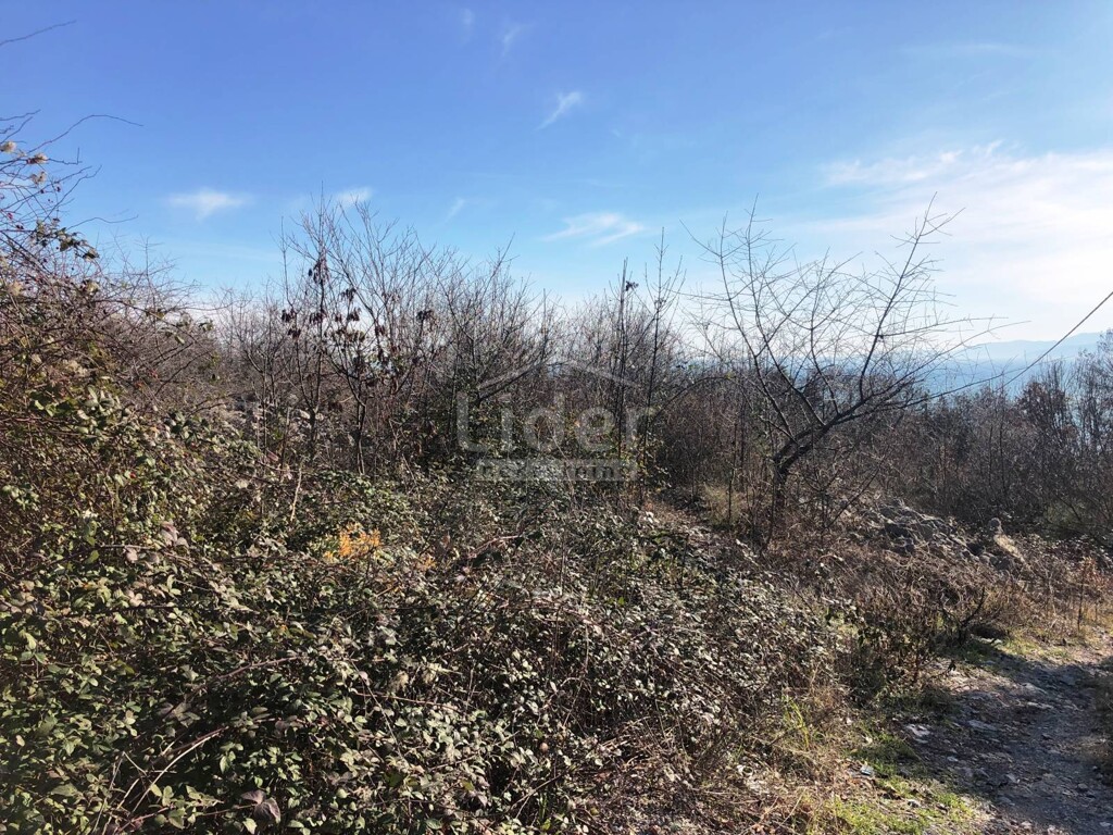 Image 3774863 - 1
