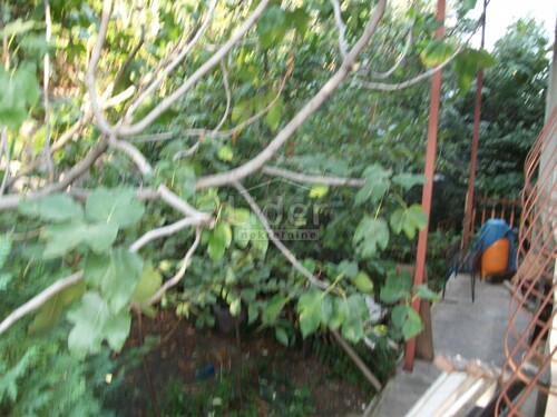 Thumbnail 3790958 - 12