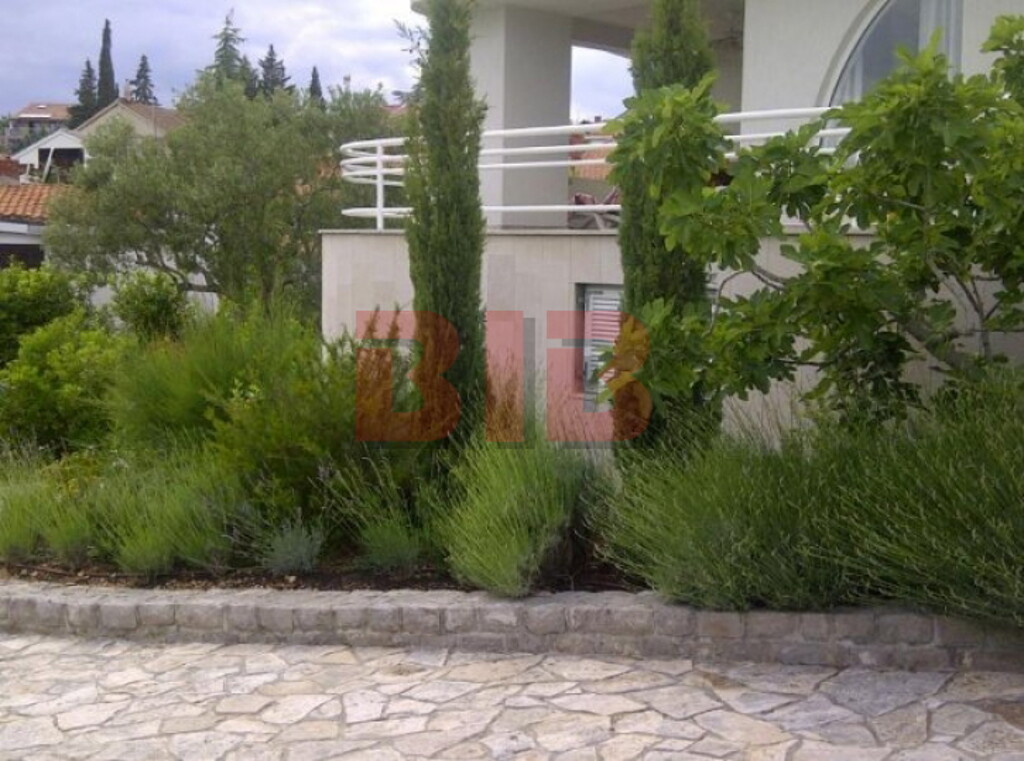 Image 3791481 - 8