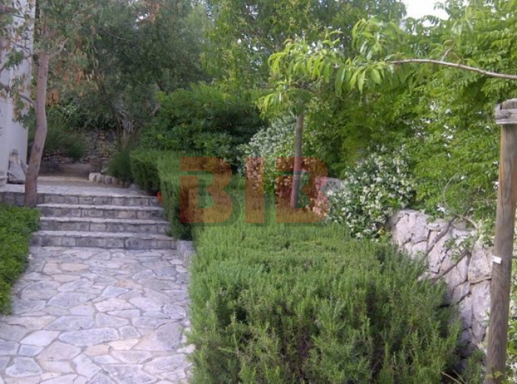 Image 3791481 - 7