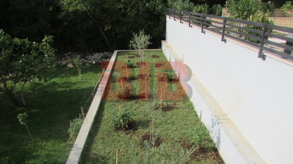 Image 3791722 - 8