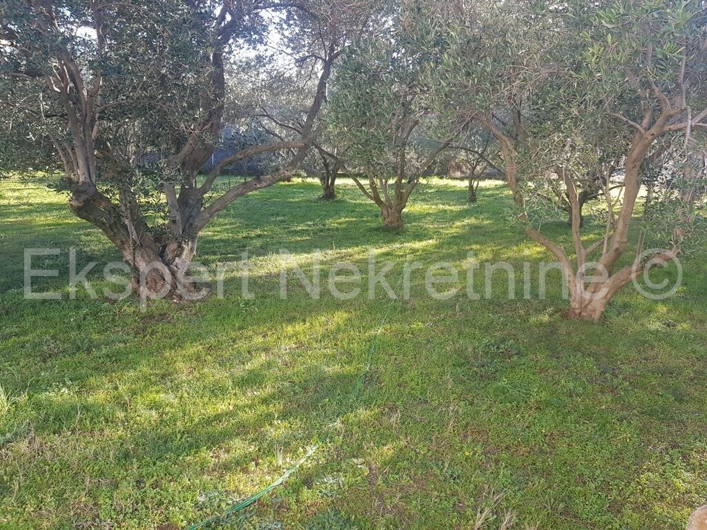 Image 3801225 - 10