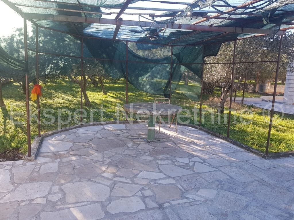 Image 3801225 - 7