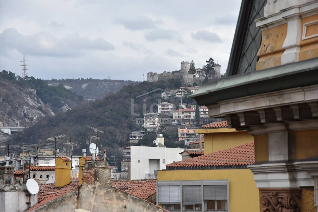 Image 3805003 - 11