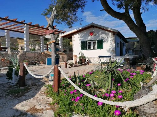 Bočić Bay Paradise - Drvenik Mali