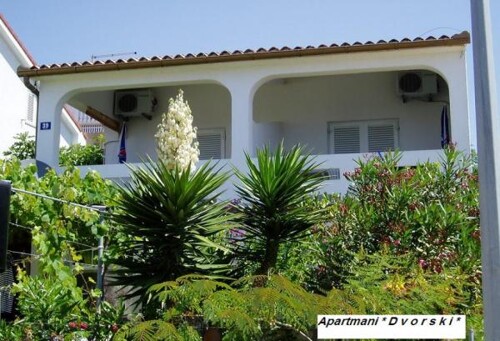Apartmani Dvorski Mandre - Pag Mandre