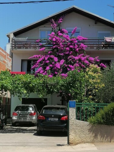 Apartmani Borik 1 - Zadar