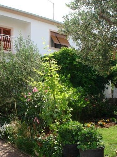 Apartmani Ugrinić - Biograd na moru