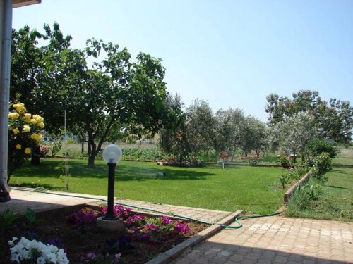 Apartmani Martin - Zaton (Zadar)